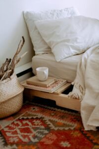 Will Permethrin Kill Bed Bugs
